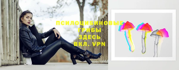 спайс Алексин