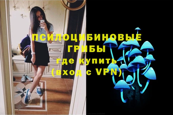 гидропоника Алексеевка