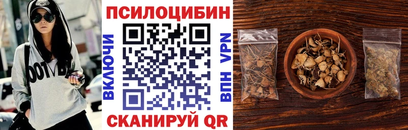 мега сайт  Новая Ладога  Галлюциногенные грибы Cubensis 